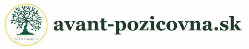 AVANT požičovňa